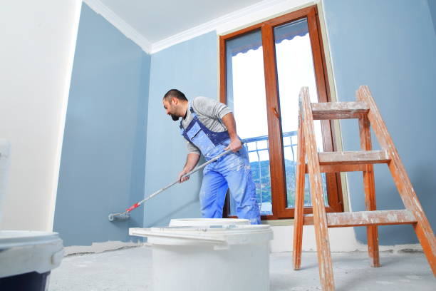 Best Mold Odor Removal Services  in Crisfield, MD