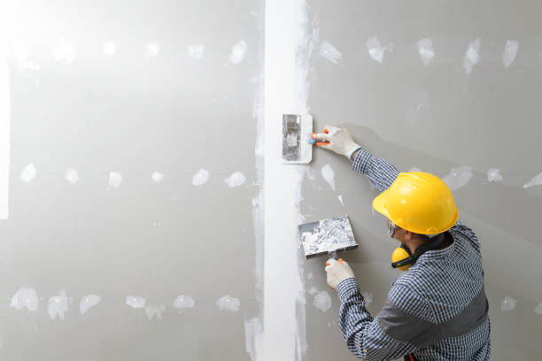 Best Post-Construction Mold Inspection  in Crisfield, MD