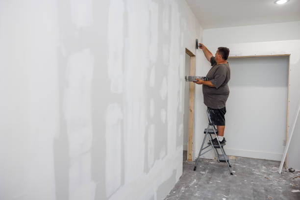 Reliable Crisfield, MD Mold Removal Solutions