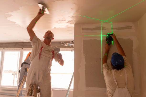 Best Crawl Space Mold Remediation  in Crisfield, MD