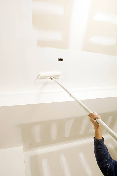 Best Mold Damage Restoration  in Crisfield, MD